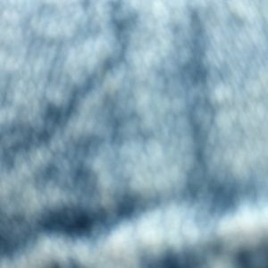 Meet your Posher, Dante